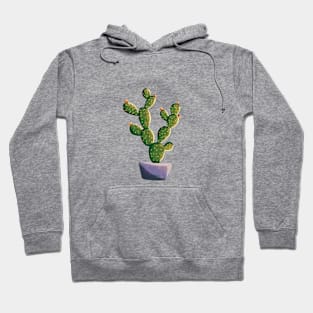 Cactis Gift Art Hoodie